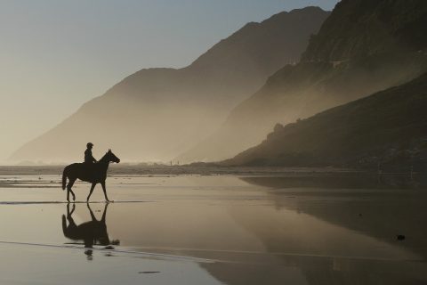 Multicultural Communities Cape Town Horse Rider Vigilante