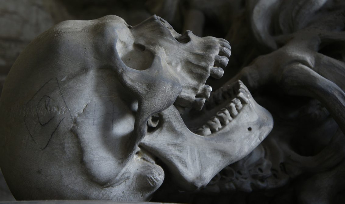 Human Being Skull Evolution Death